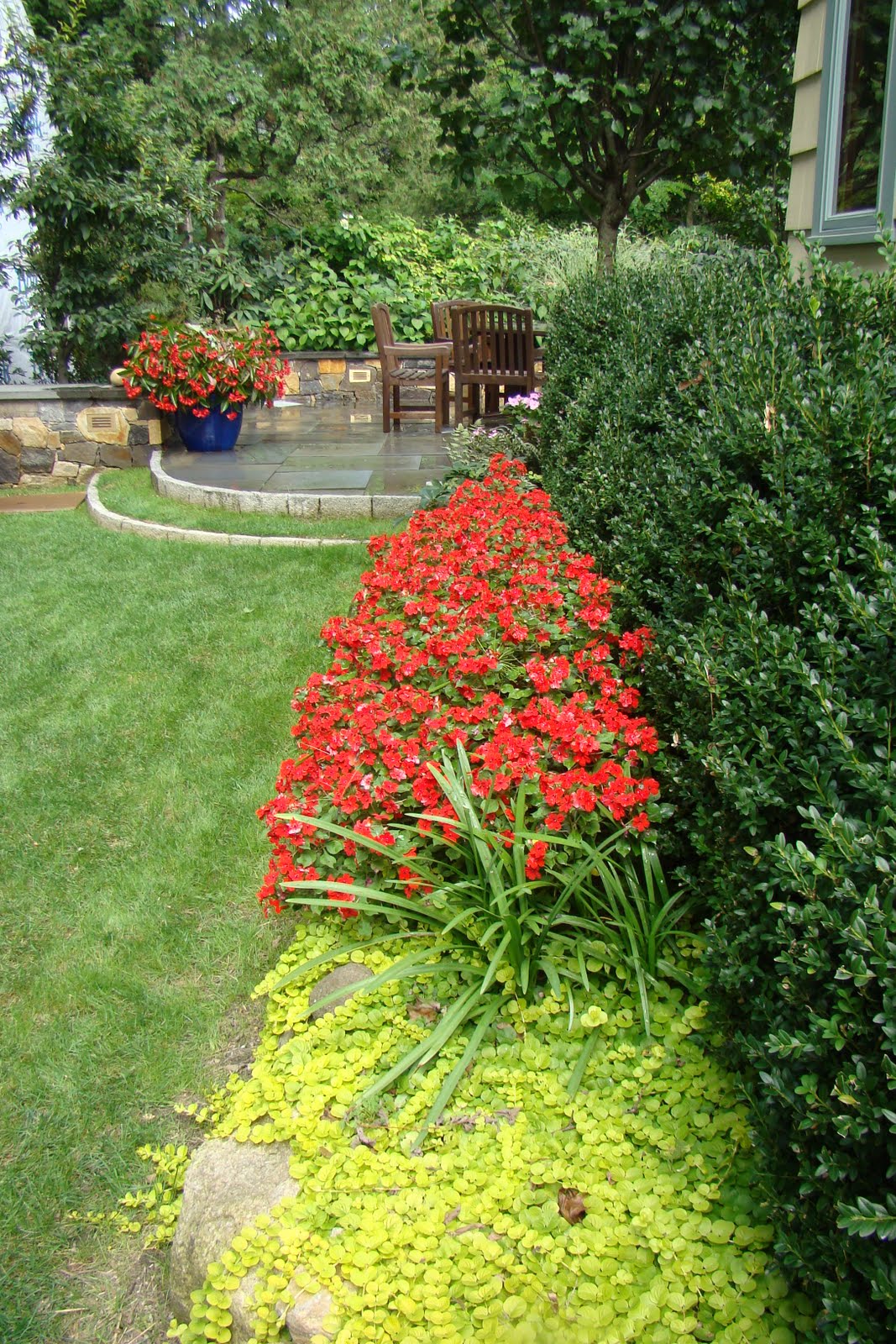 My Postage Stamp Garden