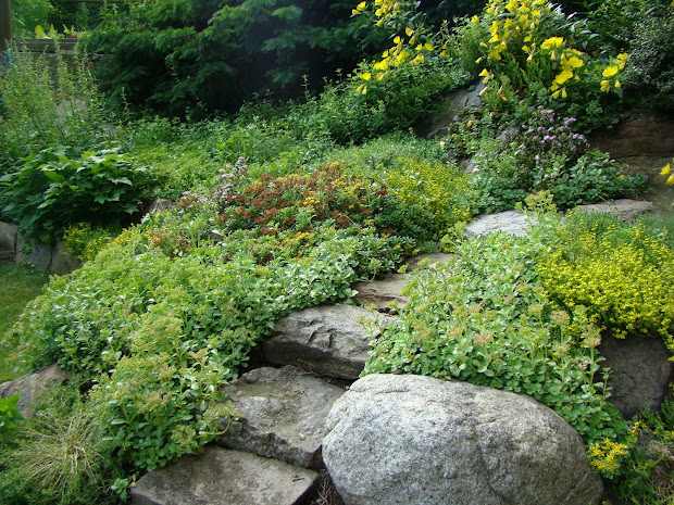rock garden ideas landscape