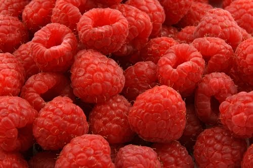 http://4.bp.blogspot.com/_5xbLgg72CBs/TAawq_9ozGI/AAAAAAAAHnM/5irJsX80XjA/s640/red+raspberries.jpg
