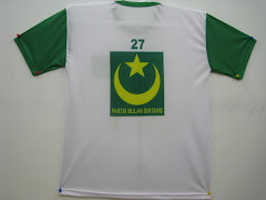 Kaos Partai