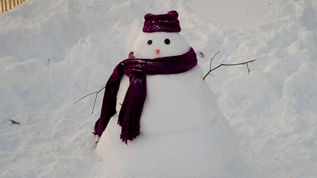 [12-20-09+Snow+Man+2.jpg]