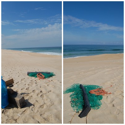 [dia2_f.jpg]