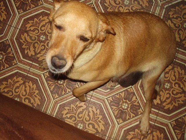 [P7080085.JPG]