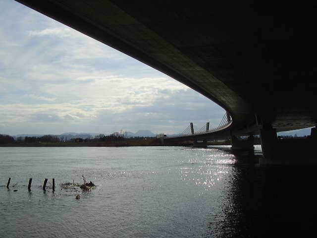 [P2190575.JPG]