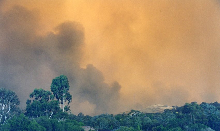[Cook02_Fires+2003_sm.jpg]