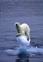 “Una parte de la población del mundo, la que está por debajo de la línea de pobreza, está sufriendo mucho las consecuencias del cambio climático" “Una parte de la población del mundo, la que está por debajo de la línea de pobreza, está sufriendo mucho las consecuencias del cambio climático"