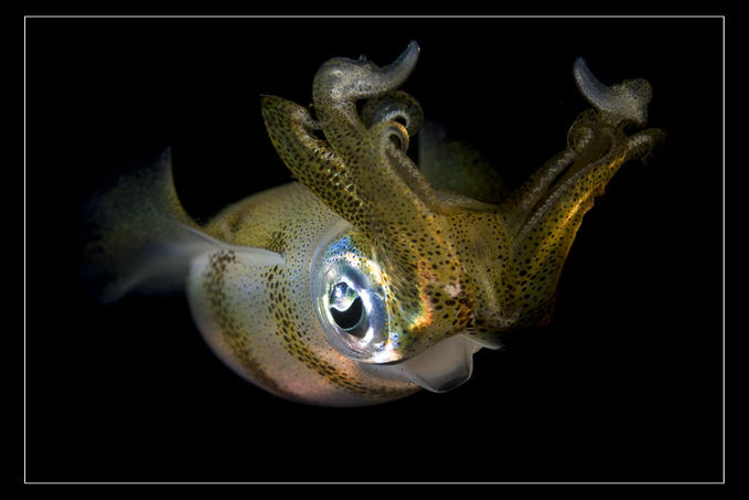 [bajo-el-agua-6.jpg]