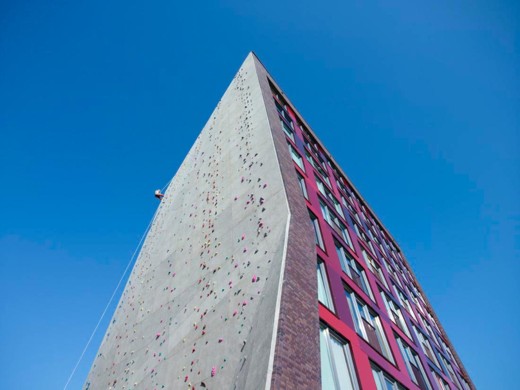[muro-de-escalada-universidad-3.jpg]