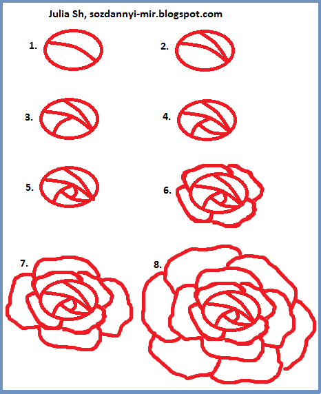 как научиться рисовать розу?