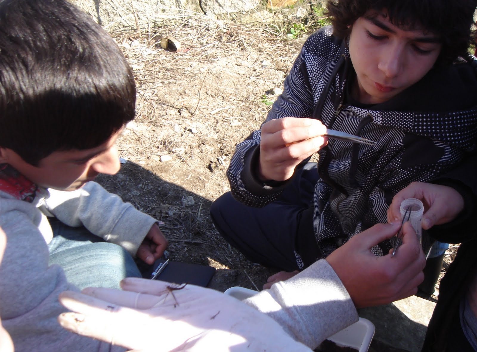 [DSC02108.JPG]