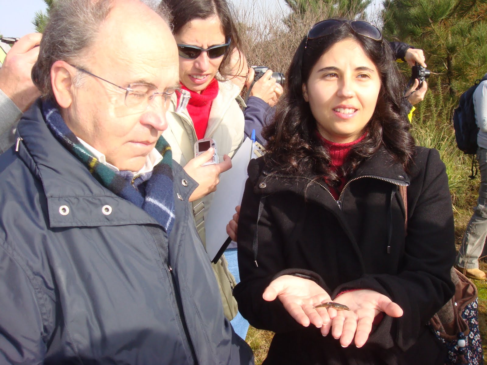 [DSC00153.JPG]
