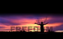Jesus disse: vocês conhecerão a VERDADE e a VERDADE libertará vocês.