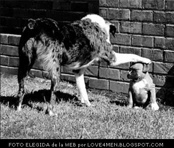 imagenes imagenes
