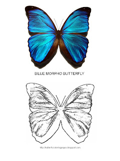Blue Coloring Pages Blue Coloring Pages