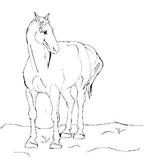 Coloring Page Horse Coloring Page Horse