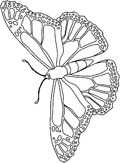 butterfly coloring pages
