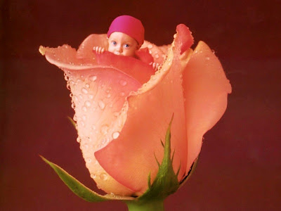 Labels: Baby Funny Wallpapers, wallpaper funny baby. Labels: Baby Funny Wallpapers,