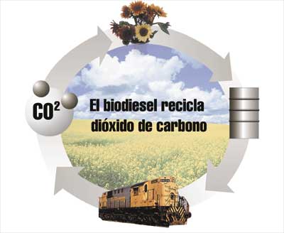[Biodiesel.jpg]