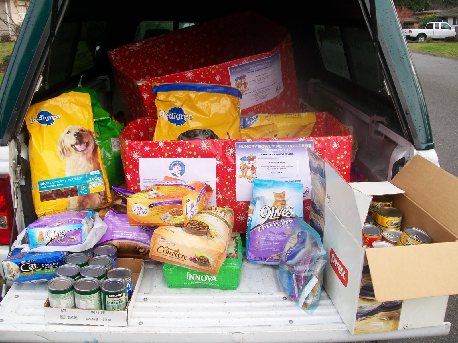 Tailor Made Pets Pet Food Drive Sucess!