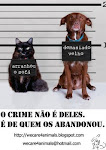 Não abandone o seu animal!!