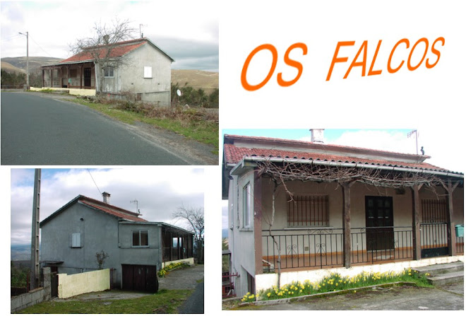 OS FALCOS