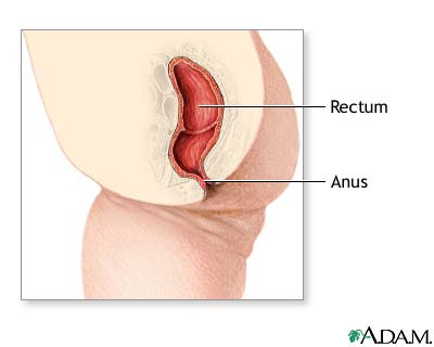 Prince william threesome Shooting pain anus