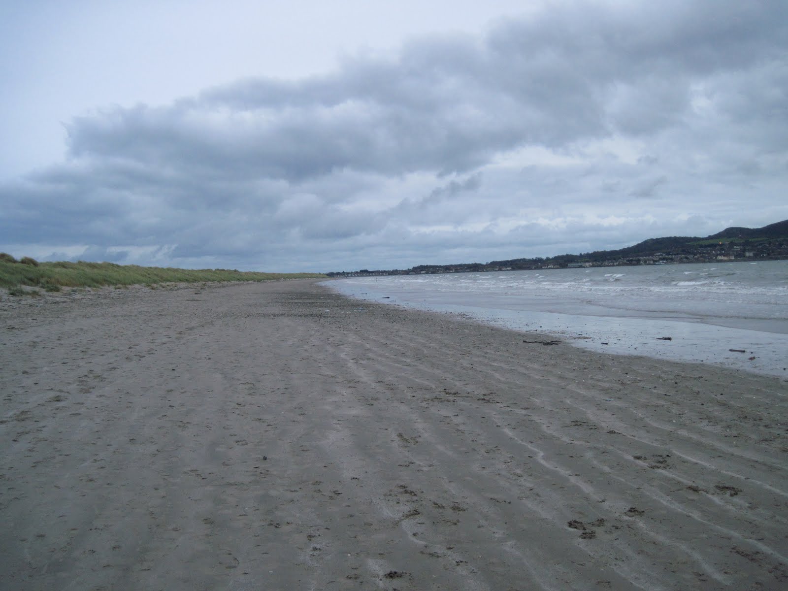 North Bull Island