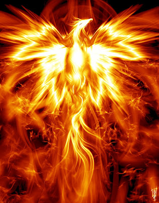 fenix fenix