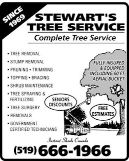 e english lab short functional text advertisement advertisement text example