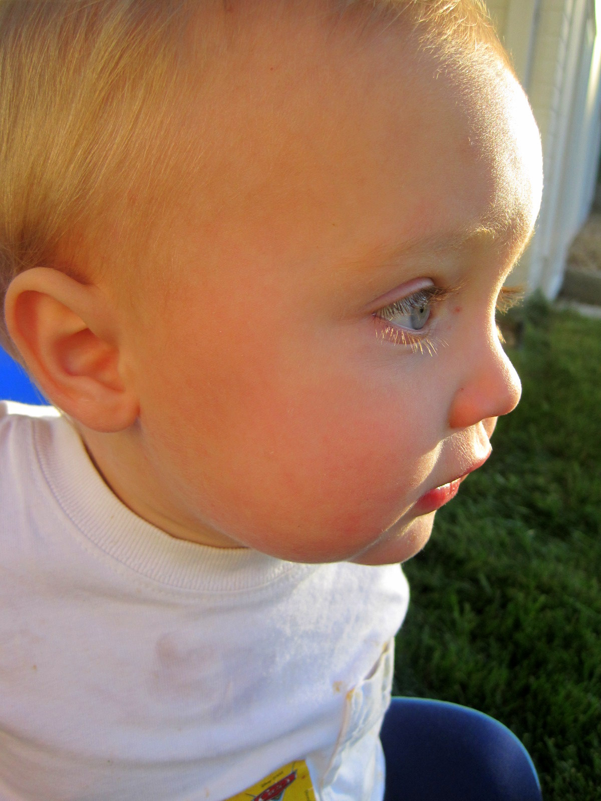 [Fall+2009+029.JPG]