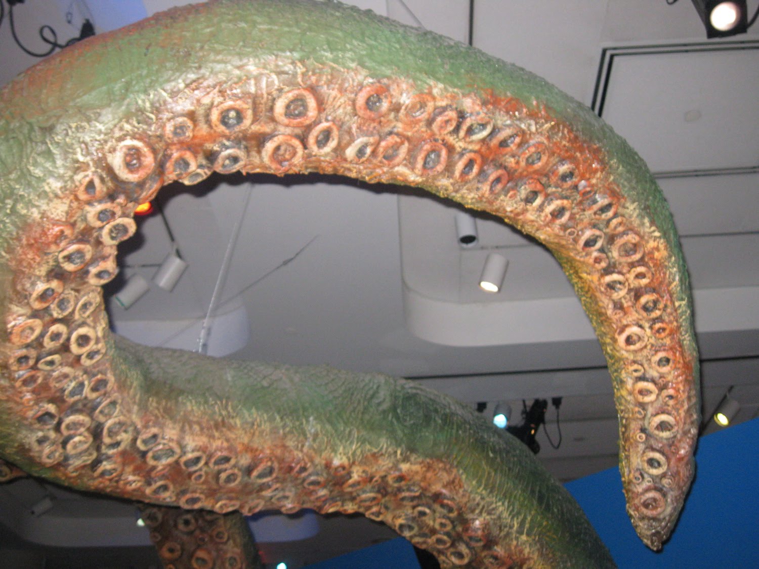 [PItentacles2.jpg]