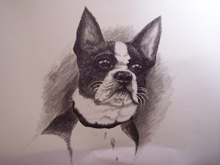 Pet Portraits by Jann Alexander-McCullough