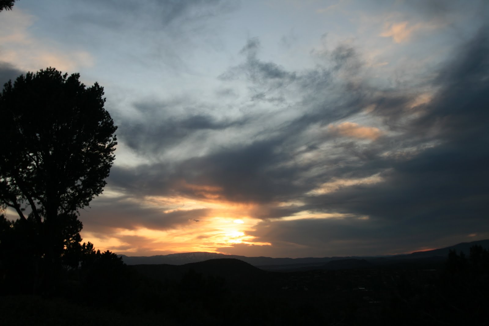 [IMG_5187.JPG]