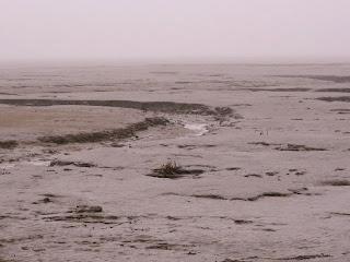 [Imagem: Southport%2Bmudflats%2Bdisappear%2Binto%...2Bmist.jpg]