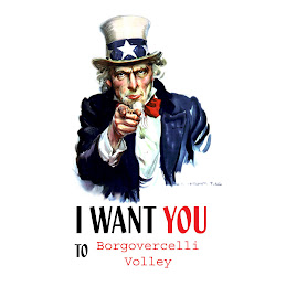 Campagna Abbonamenti Borgovercelli Volley 2007/2008