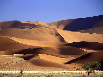 Rajasthan Visited by Jaipur