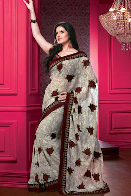 Indian Designer Sarees photos