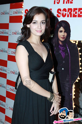 Bollywood celebrities at Anjana Anjani special screening pictures