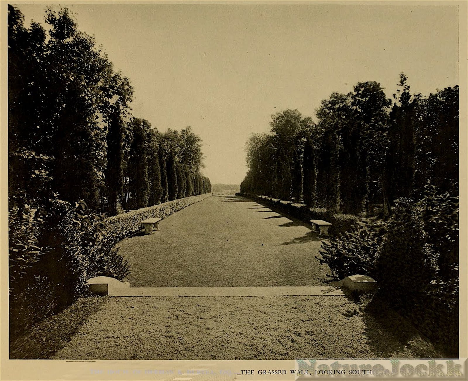 http://4.bp.blogspot.com/_6ANko4sjweM/SxPr5WNpUEI/AAAAAAAAXKg/mOeJxwldypo/s1600/Knole+5.jpg