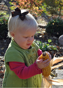 18 Months Old