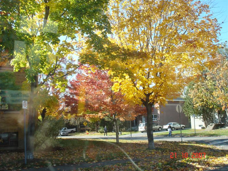 [Ottawa+oct+(26)+(Medium).JPG]