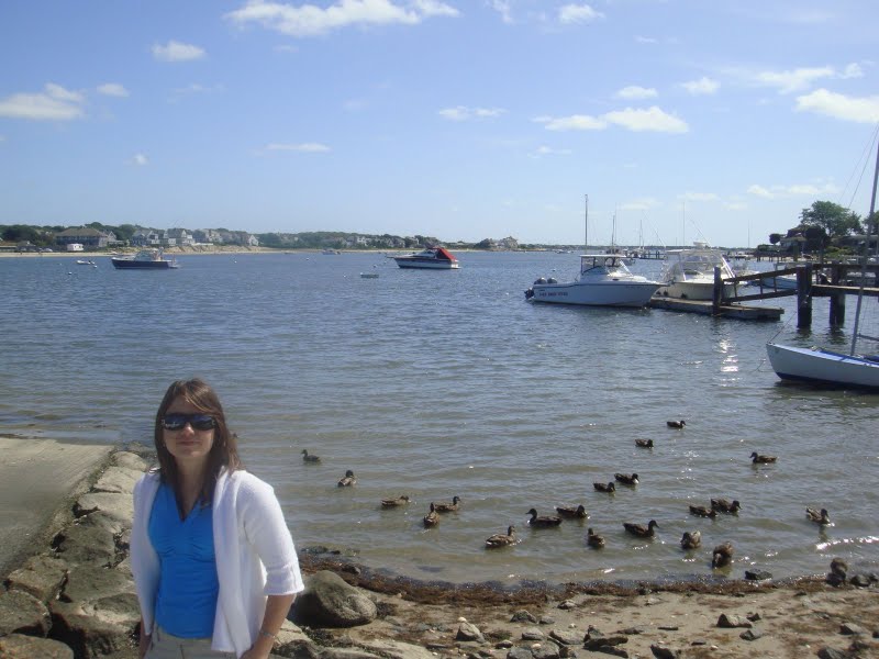 [capecod4.jpg]