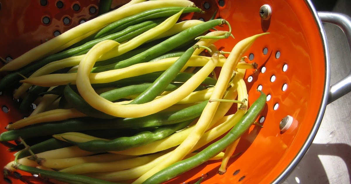 Lentil Breakdown Roasted Green Beans, Peppers and Garlic