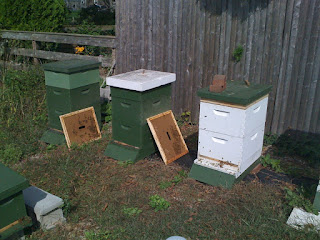 bee hives prepared for winter