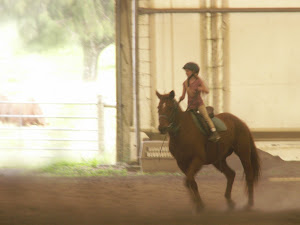 Cantering on Sugar