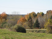 Metamora colorscape