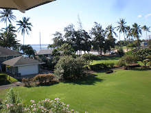 Another view from lanai