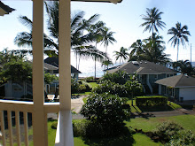 'view from Lanai