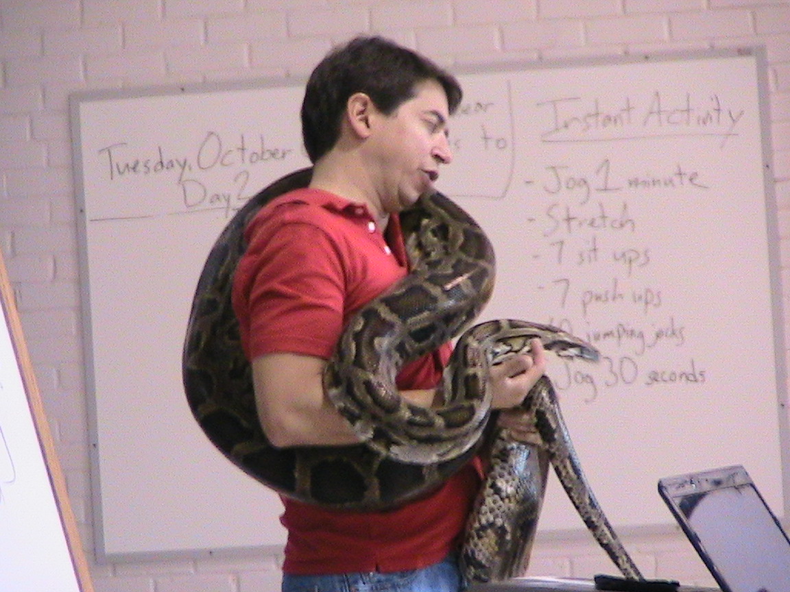 [python.jpg]
