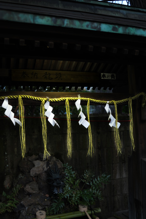 [DSC_4603w-700.jpg]
